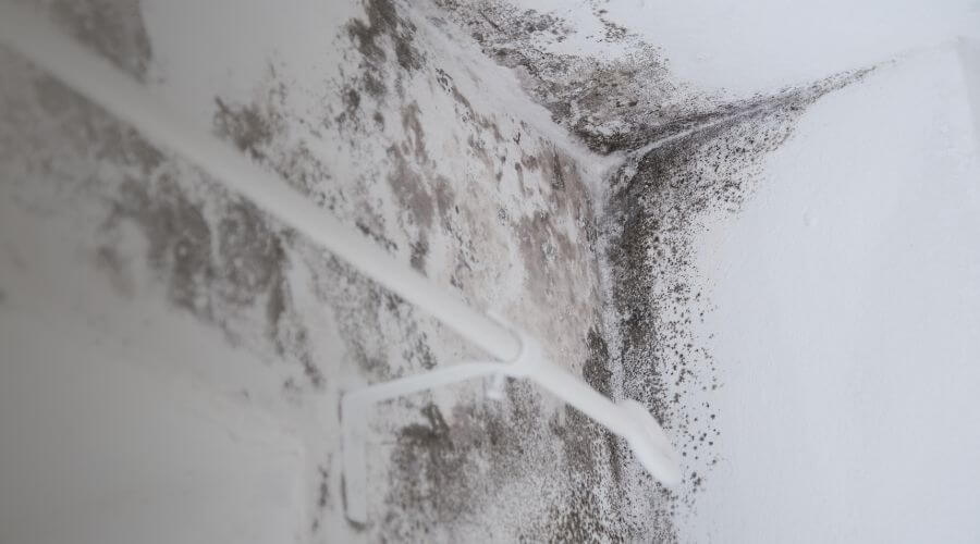 Why choose water damage restoration service for storm damage restoration in Saint Charles